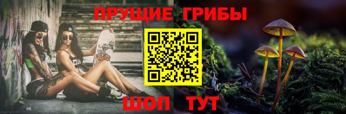 Нарткала  Псилоцибиновые грибы прущие грибы  Галлюциногенные грибы ЛСД  Вход с VPN 